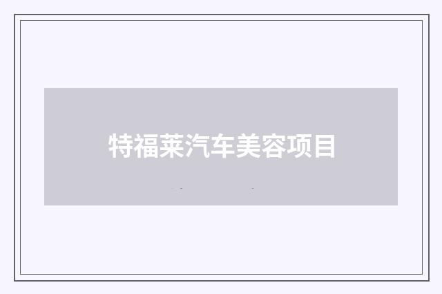 特福莱汽车美容项目