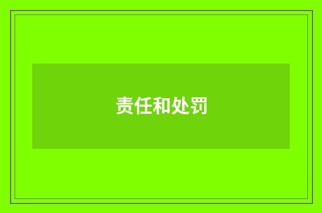 责任和处罚