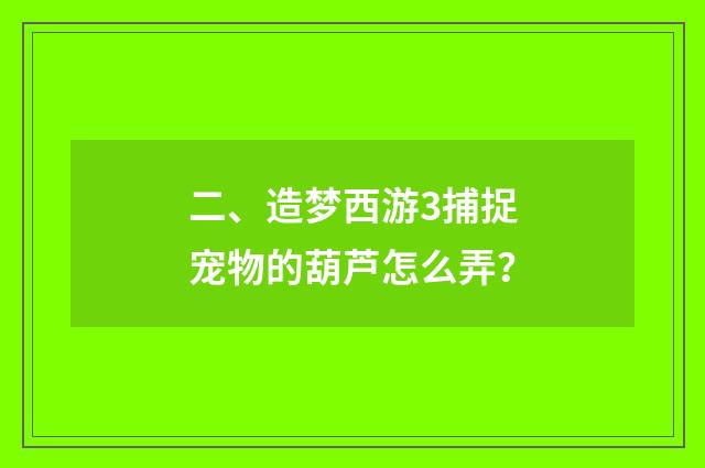 二、造梦西游3捕捉宠物的葫芦怎么弄？