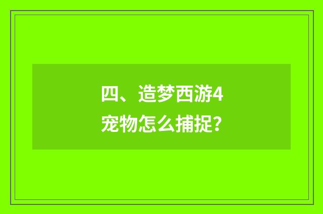 四、造梦西游4宠物怎么捕捉？