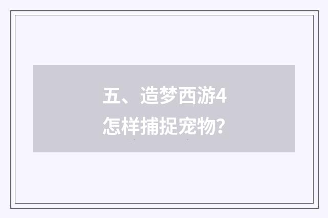 五、造梦西游4怎样捕捉宠物？