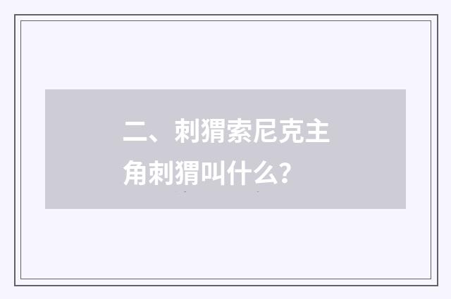 二、刺猬索尼克主角刺猬叫什么？