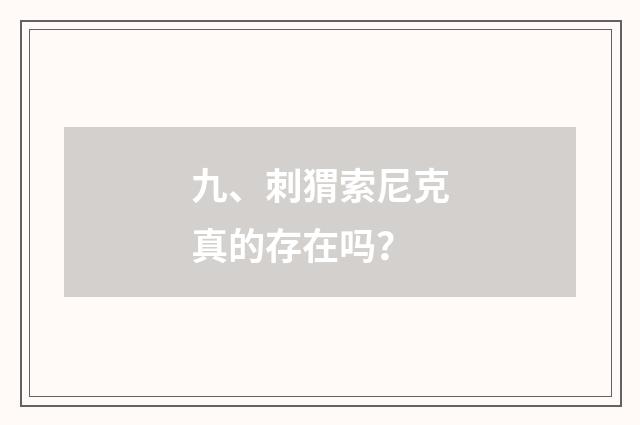 九、刺猬索尼克真的存在吗？