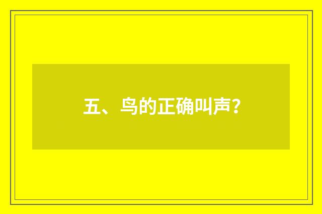 五、鸟的正确叫声？