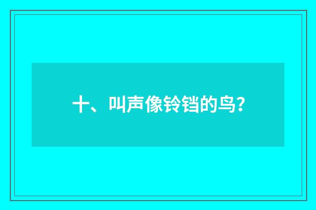 十、叫声像铃铛的鸟？