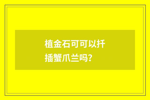 植金石可可以扦插蟹爪兰吗？