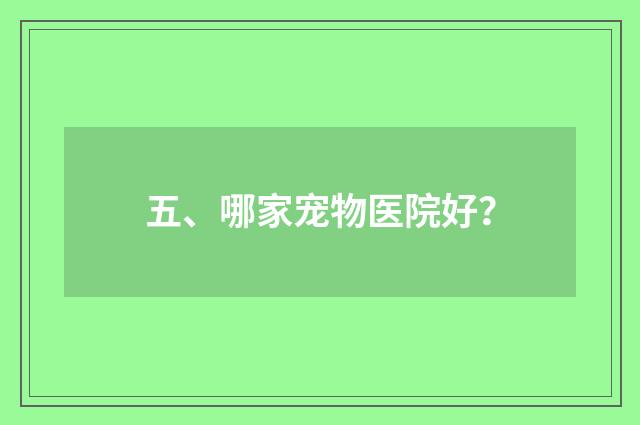 五、哪家宠物医院好？