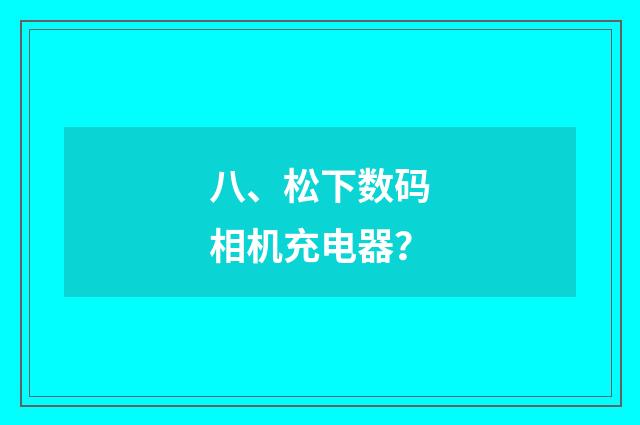 八、松下数码相机充电器？