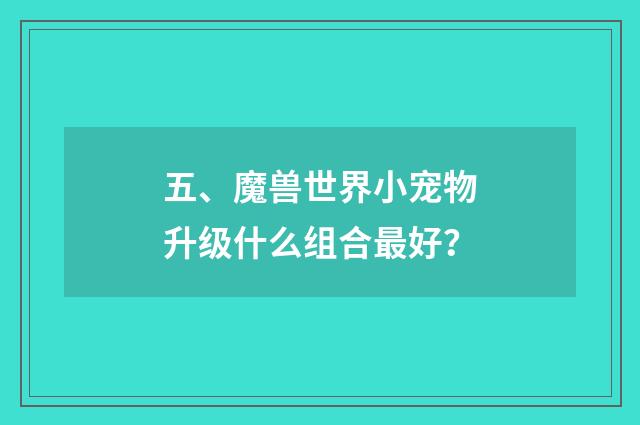 五、魔兽世界小宠物升级什么组合最好？