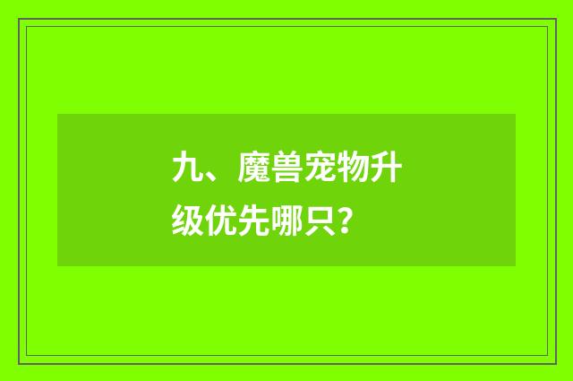 九、魔兽宠物升级优先哪只？