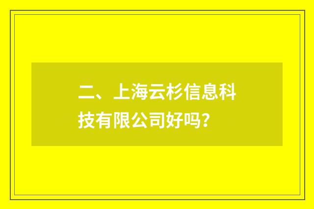 二、上海云杉信息科技有限公司好吗？