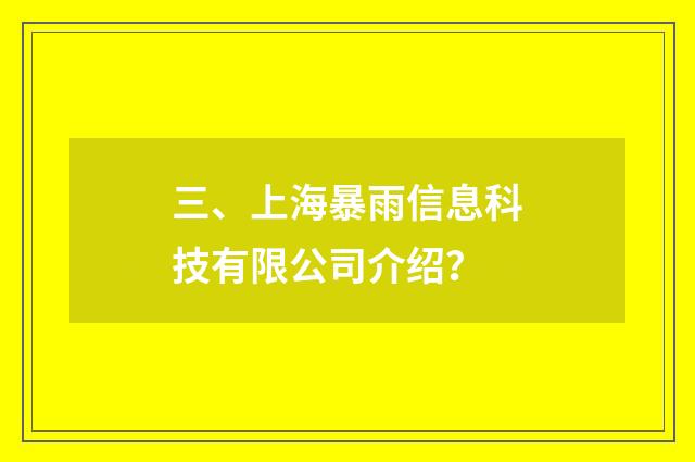 三、上海暴雨信息科技有限公司介绍?