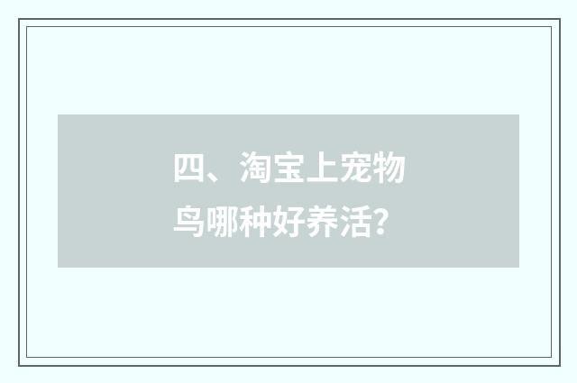四、淘宝上宠物鸟哪种好养活？