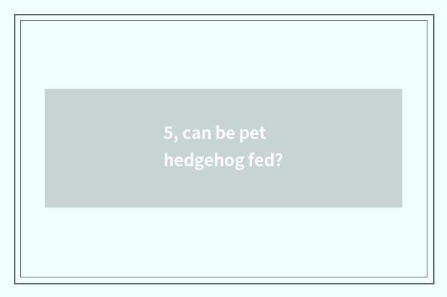 5, can be pet hedgehog fed?