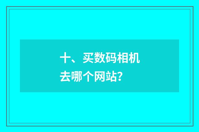 十、买数码相机去哪个网站？