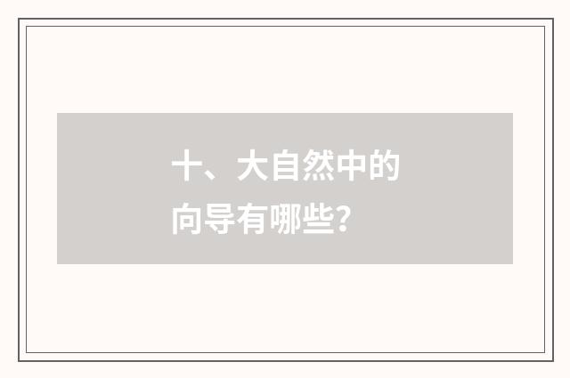 十、大自然中的向导有哪些？