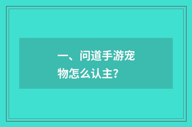 一、问道手游宠物怎么认主？