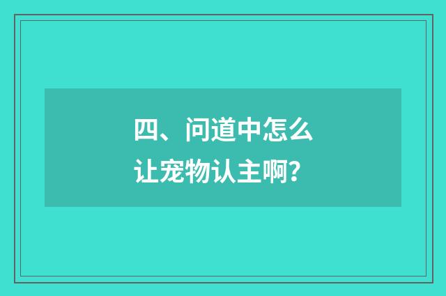 四、问道中怎么让宠物认主啊？