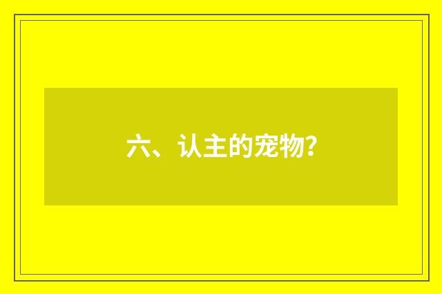 六、认主的宠物？