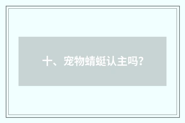 十、宠物蜻蜓认主吗？
