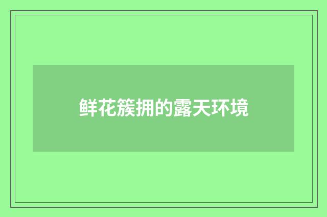 鲜花簇拥的露天环境