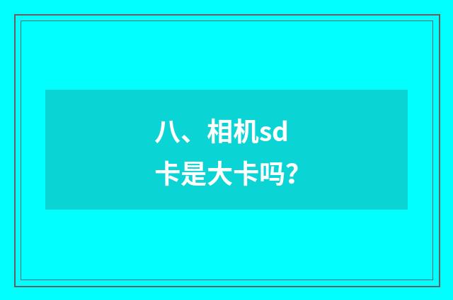 八、相机sd卡是大卡吗？