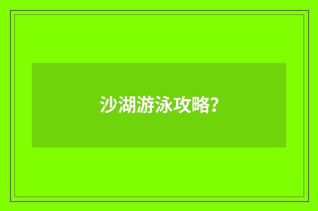 沙湖游泳攻略？