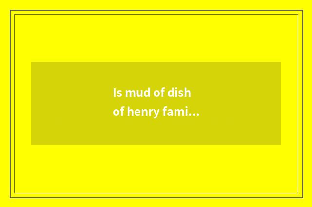 Is mud of dish of henry family name come from?