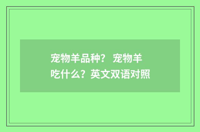宠物羊品种？ 宠物羊吃什么？英文双语对照