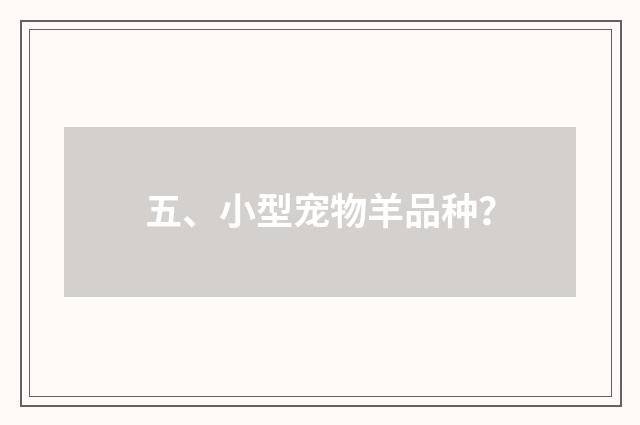 五、小型宠物羊品种？