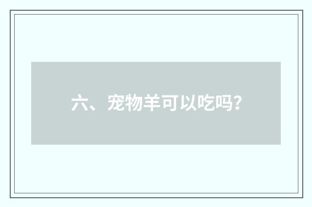 六、宠物羊可以吃吗？