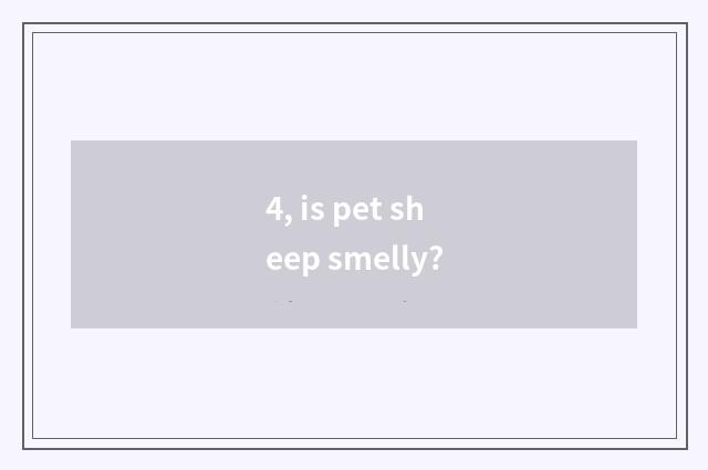 4, is pet sheep smelly?