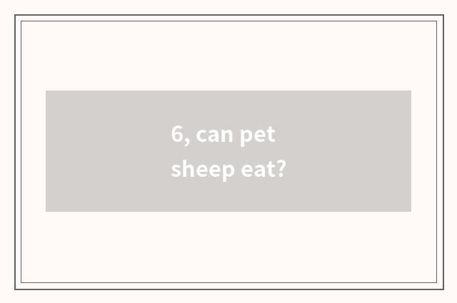 6, can pet sheep eat?