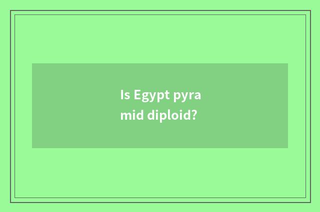 Is Egypt pyramid diploid?