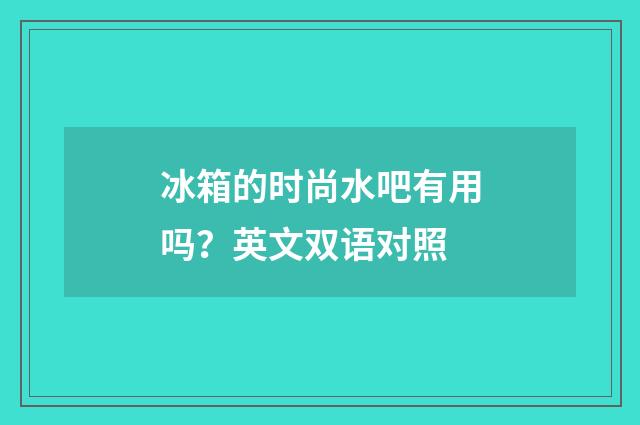 冰箱的时尚水吧有用吗？英文双语对照