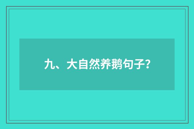 九、大自然养鹅句子？