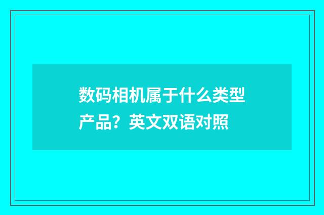 数码相机属于什么类型产品？英文双语对照