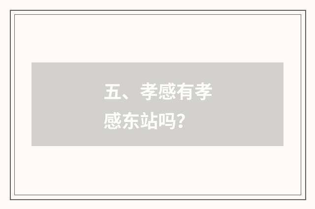 五、孝感有孝感东站吗?
