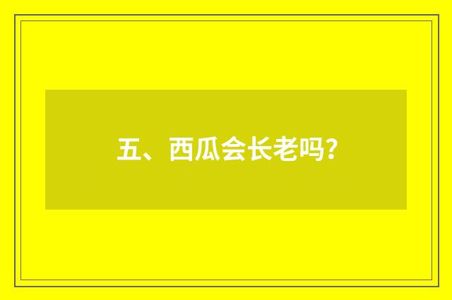 五、西瓜会长老吗?