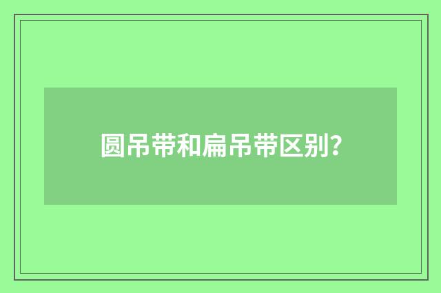 圆吊带和扁吊带区别？