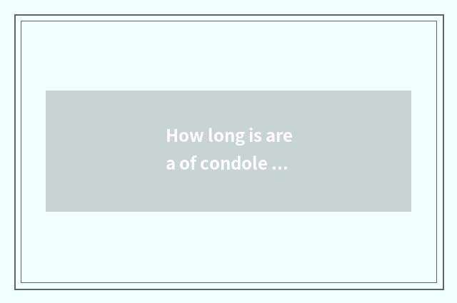 How long is area of condole of skirt of condole belt length nice?