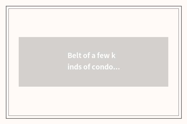 Belt of a few kinds of condole does systemic condole belt belong to?
