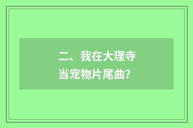 二、我在大理寺当宠物片尾曲？