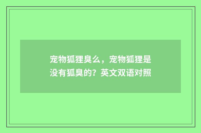 宠物狐狸臭么，宠物狐狸是没有狐臭的？英文双语对照
