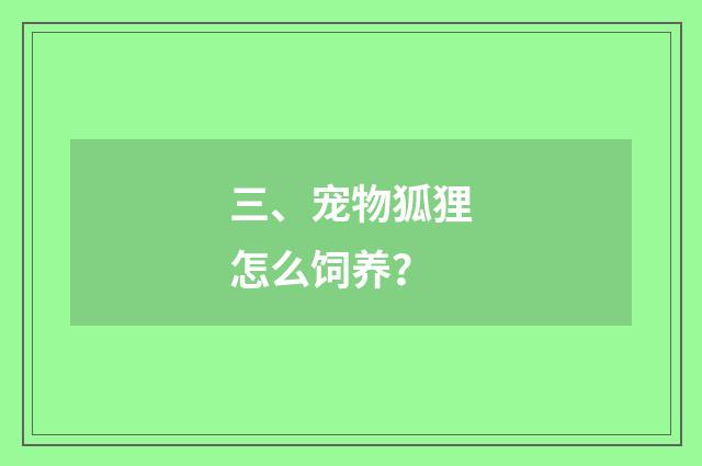 三、宠物狐狸怎么饲养？