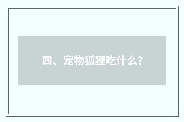 四、宠物狐狸吃什么？