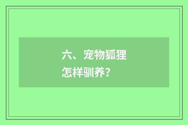 六、宠物狐狸怎样驯养？
