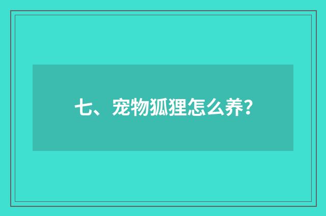 七、宠物狐狸怎么养？