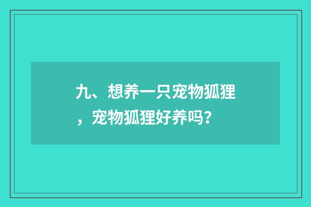 九、想养一只宠物狐狸，宠物狐狸好养吗？