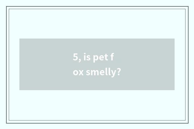 5, is pet fox smelly?